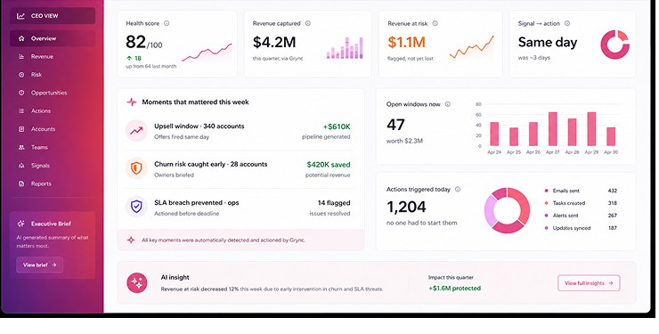 CEO dashboard view